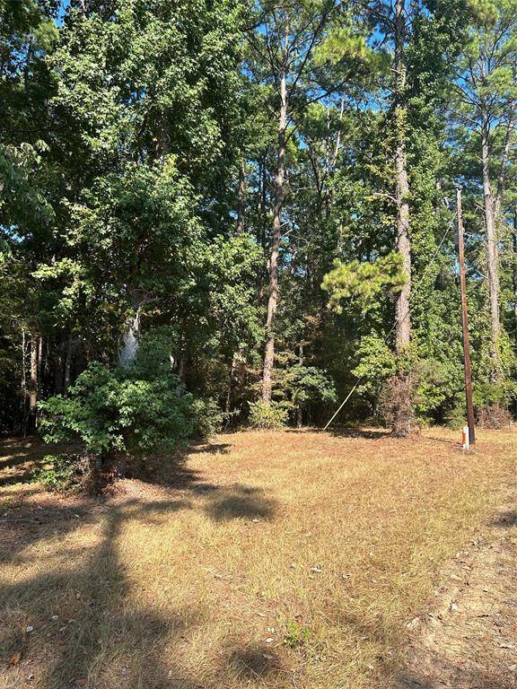 606162 Grand Pine CIR, Livingston, TX 77351