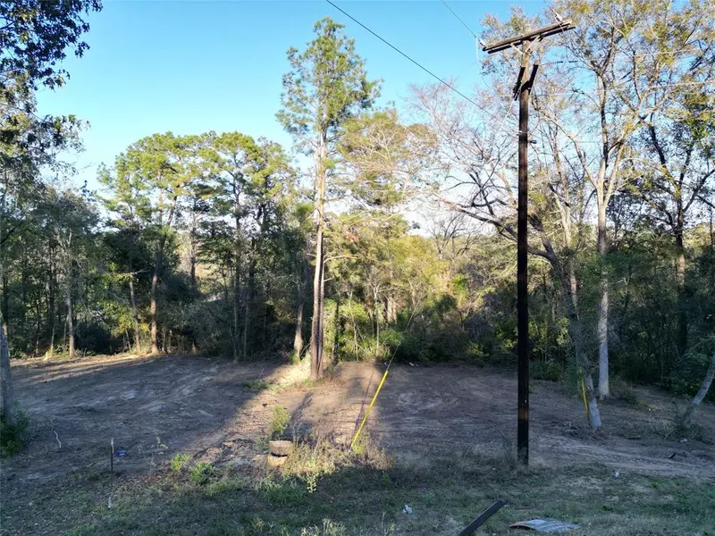 000 Rollingwood Loop, Conroe, TX 77303