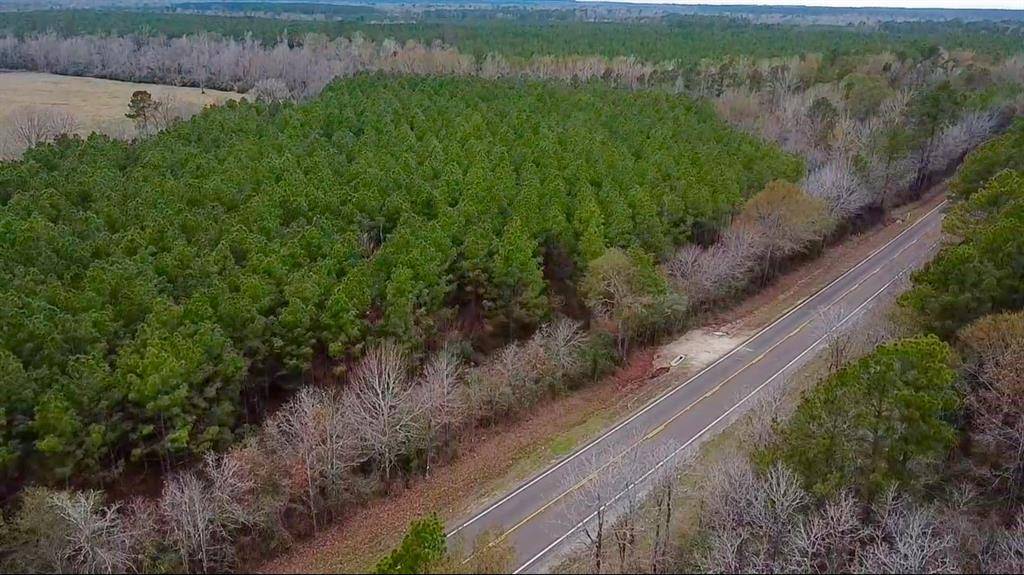 358 Holcombe RD, Groveton, TX 75845