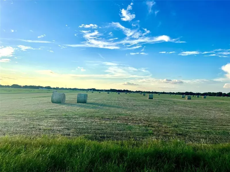 Lot 4 Roesler RD, Needville, TX 77461