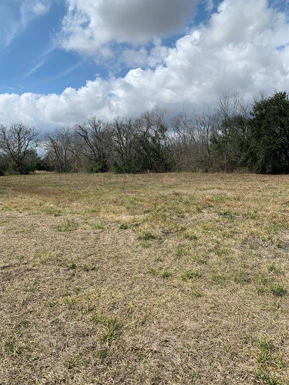 Hitchcock, TX 77563,00 S Delaney Lot B RD S