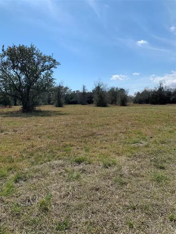 Hitchcock, TX 77563,00 S Delaney Lot B RD S