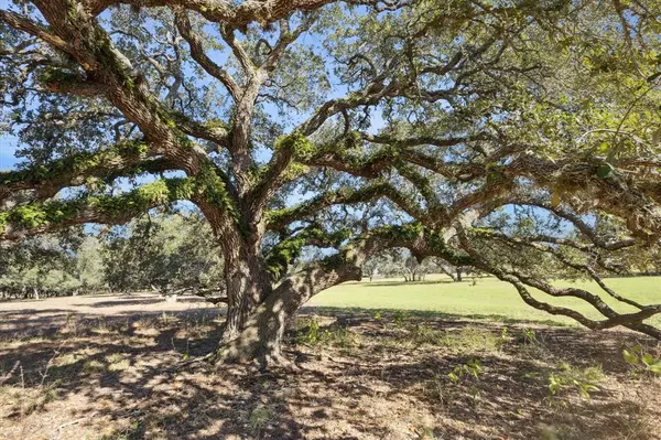 Cat Spring, TX 78933,000 Koeppens Trail