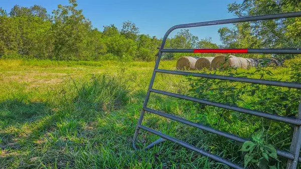 Dayton, TX 77635,TBD TBD County Road 6243