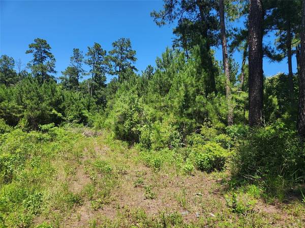 Lot 11 Cherry Tree LN, Plantersville, TX 77363