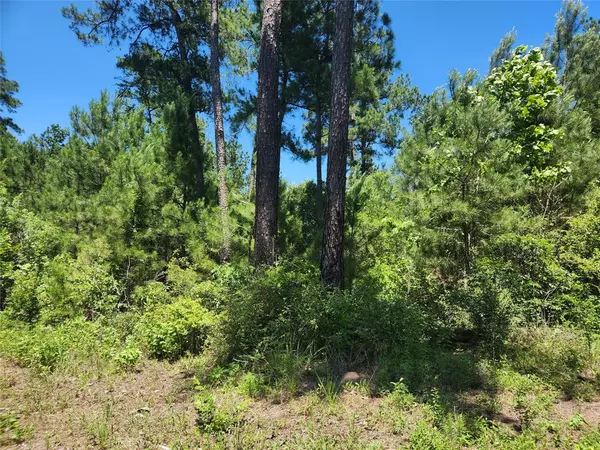 Plantersville, TX 77363,Lot 11 Cherry Tree LN