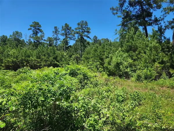 Plantersville, TX 77363,Lot 11 Cherry Tree LN