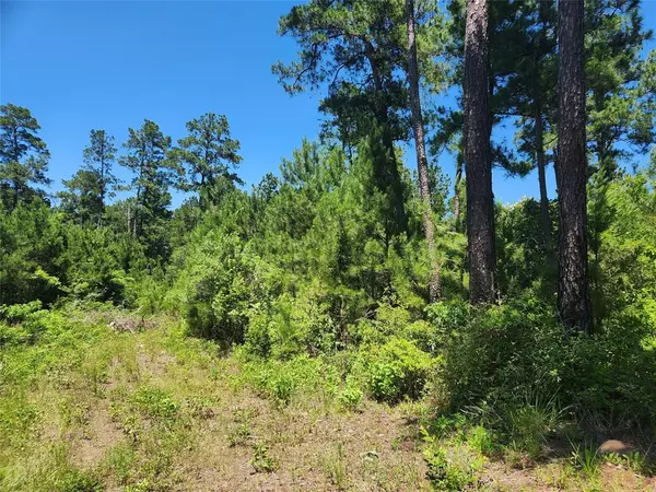 Plantersville, TX 77363,Lot 11 Cherry Tree LN