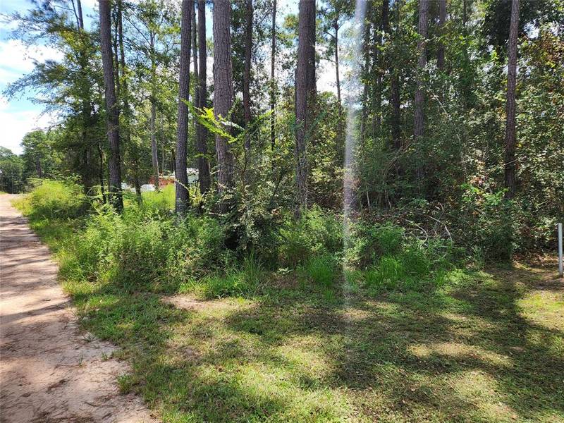 Lot 7 Coral Bean LN, Plantersville, TX 77363