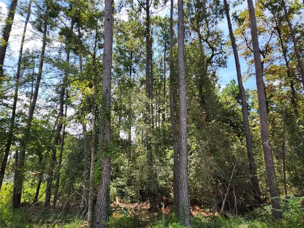 Plantersville, TX 77363,Lot 7 Coral Bean LN