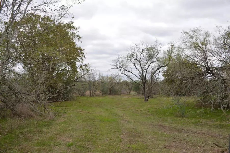 00020 Fawn Oaks TRL, Iola, TX 77861