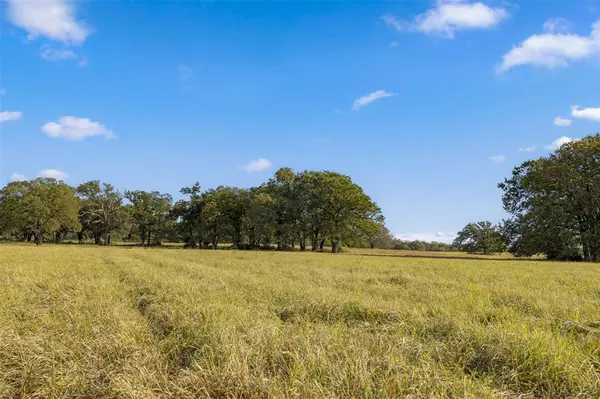 Bremond, TX 76629,0000 CR 269