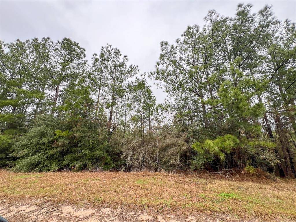 Colmesneil, TX 75938,6 Rec Road 255