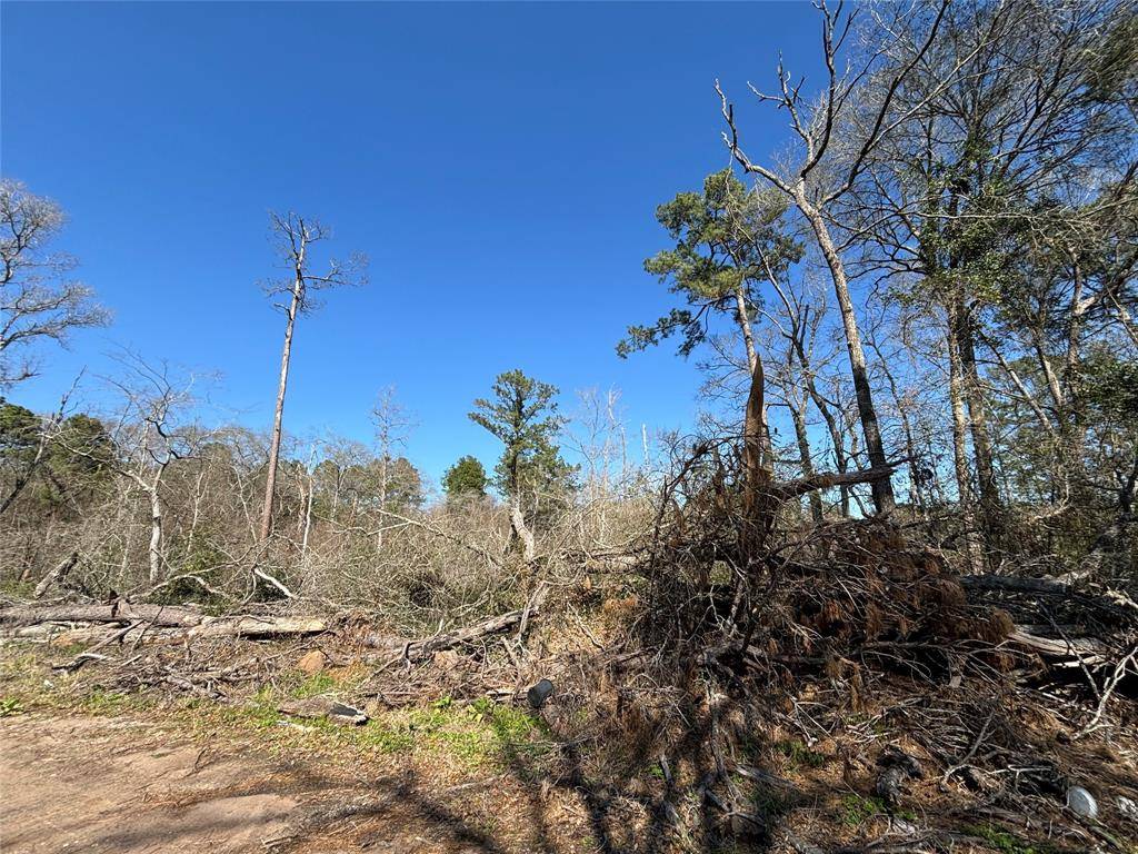 Plantersville, TX 77363,15957 Largent DR