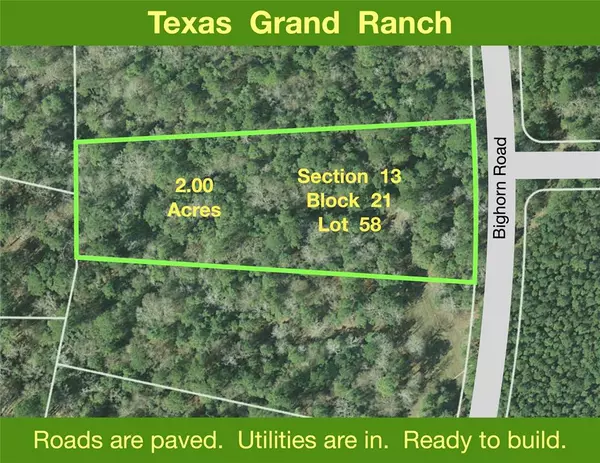 New Waverly, TX 77358,13-21-58 Bighorn RD