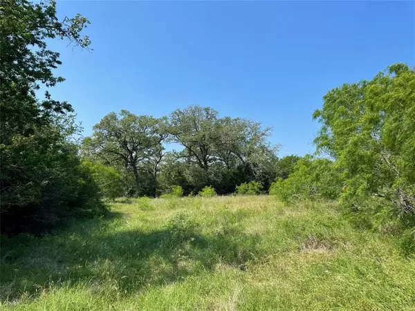 Flatonia, TX 78941,TBD Brown RD