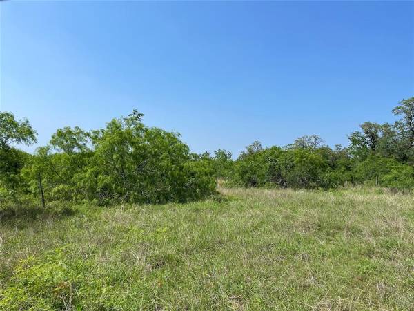 Flatonia, TX 78941,TBD Brown RD