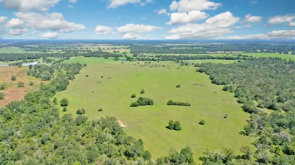 Bedias, TX 77831,125 acres County Road 123