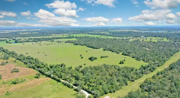 Bedias, TX 77831,125 acres County Road 123