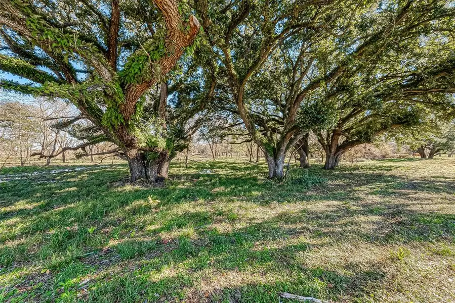 TBD 2 Dippel RD, Guy, TX 77444