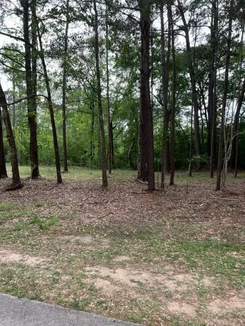 Conroe, TX 77304,Lot 31 La Salle Park