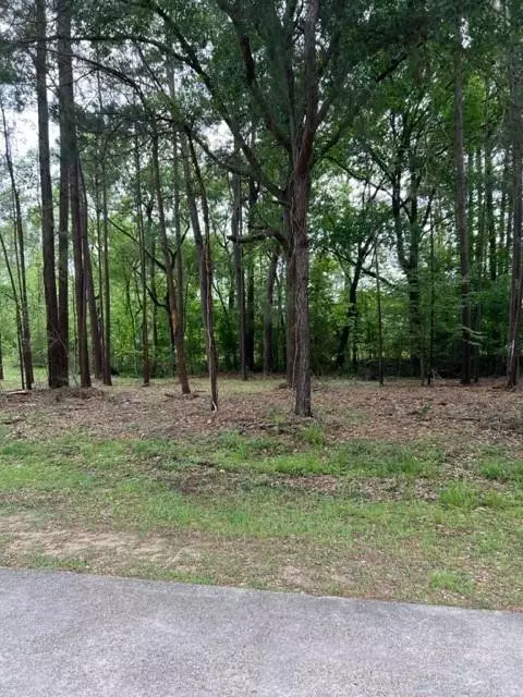 Conroe, TX 77304,Lot 31 La Salle Park