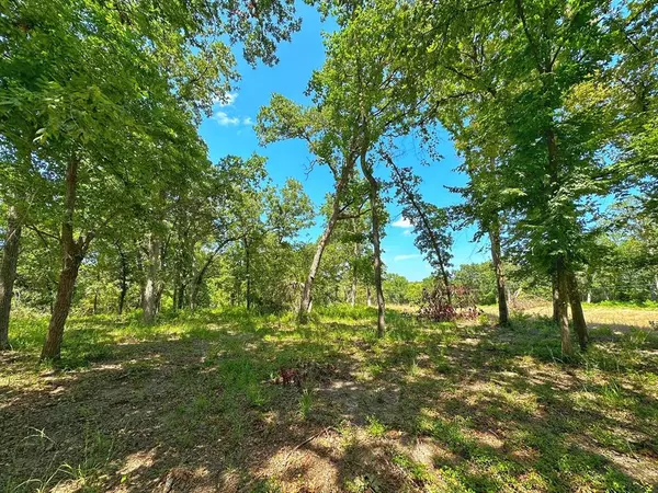 Centerville, TX 75833,4 ac PR 1313