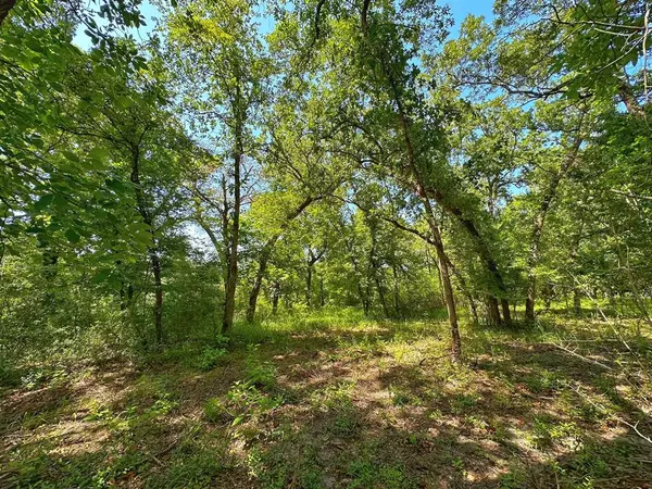 Centerville, TX 75833,4 ac PR 1313