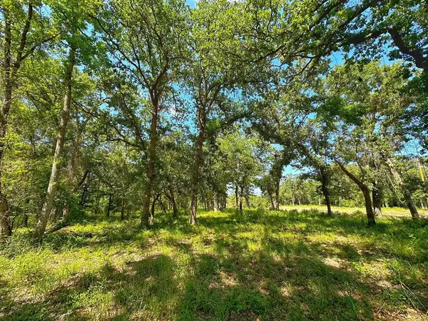 Centerville, TX 75833,4 ac PR 1313