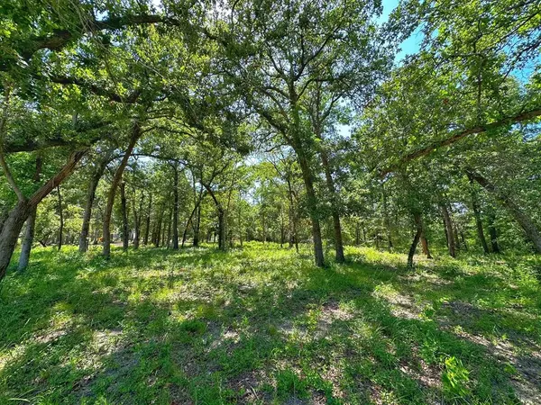 Centerville, TX 75833,4 ac PR 1313