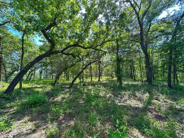 Centerville, TX 75833,4 ac PR 1313