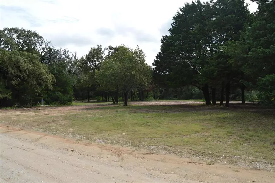 Tract #1 FM 1146, Marquez, TX 77868