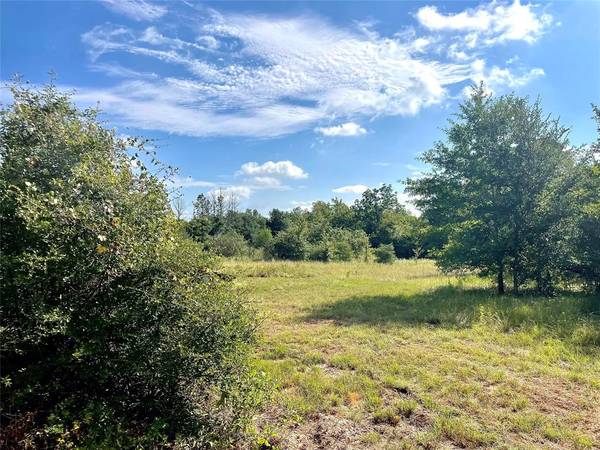 17855 Wellmann RD, Washington, TX 77880