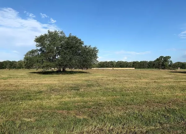 Hallettsville, TX 77964,Lot 9 PVT 1671