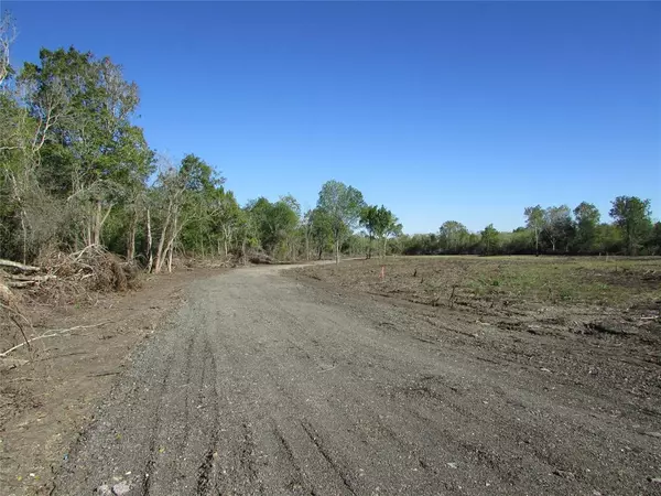 Rosharon, TX 77583,0000 (Lot 34) Trufle Rue ST