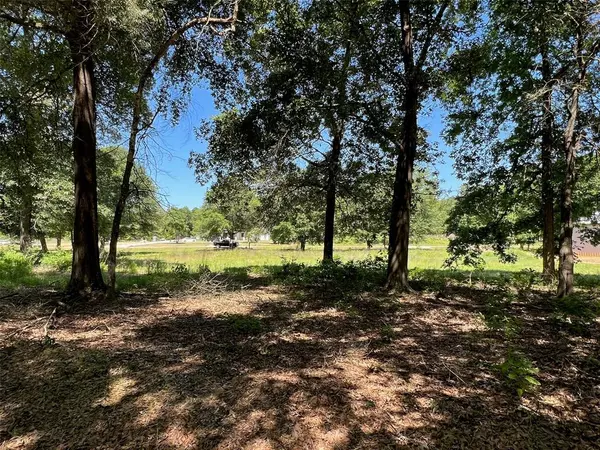 51 Quiet Springs Trail, Willis, TX 77378