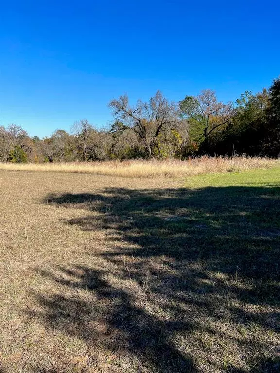 Coldspring, TX 77331,TBD Crestview CIR