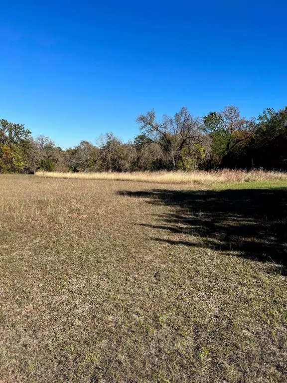 Coldspring, TX 77331,TBD Crestview CIR