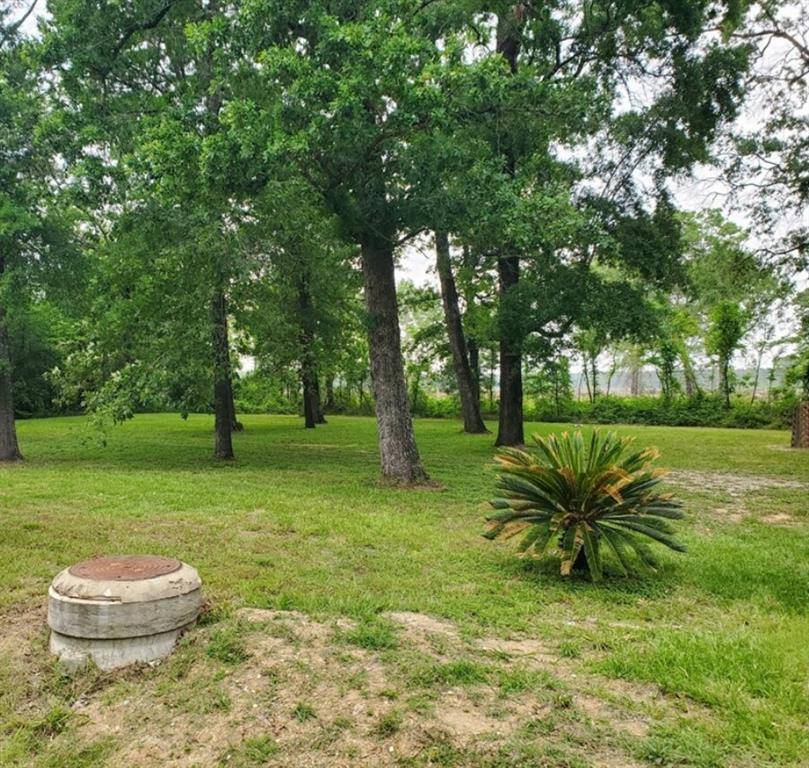 Livingston, TX 77351,174 Vine Arbor