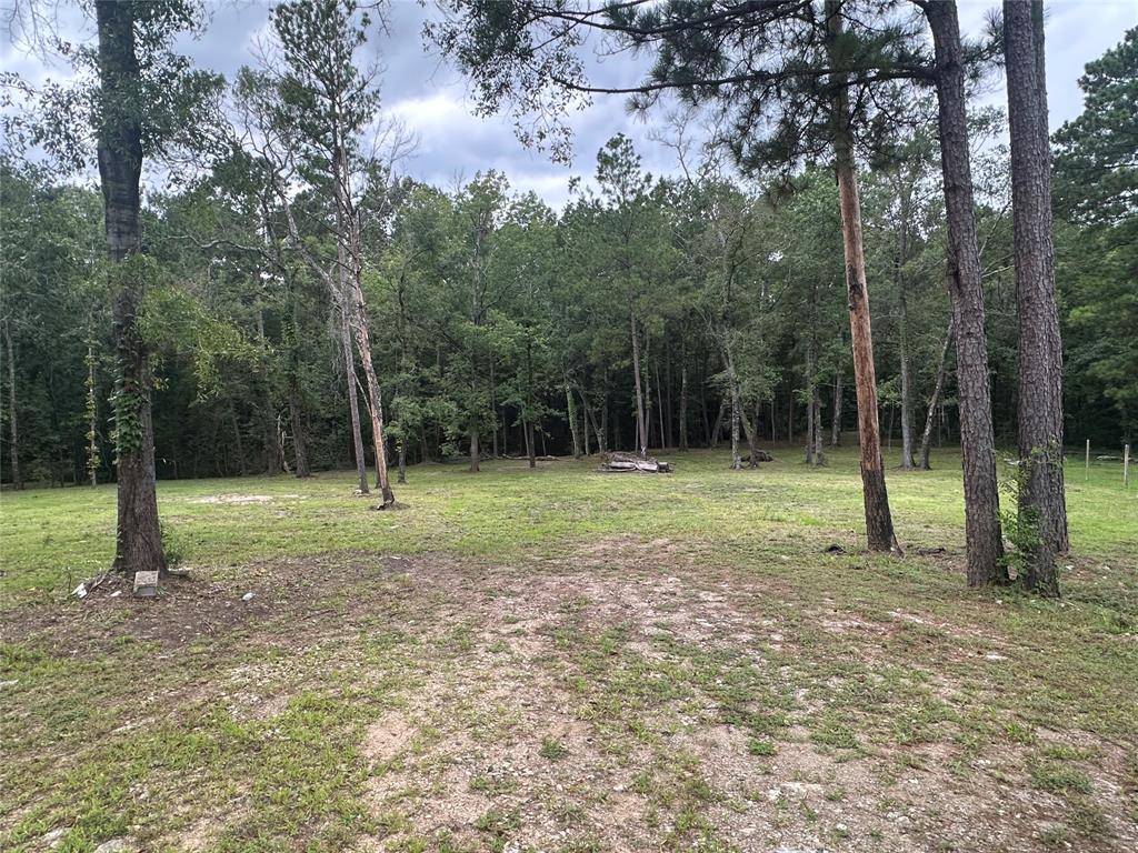 97 W Oak Tree DR, Point Blank, TX 77364