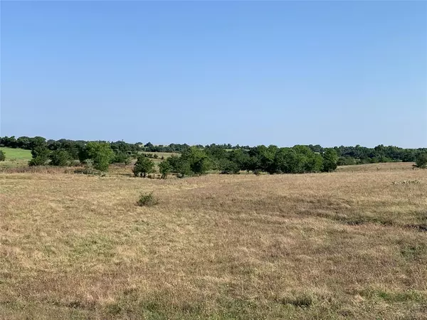 La Grange, TX 79845,TBD Lidiak Road