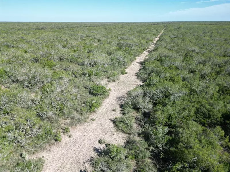 TBD County Road 268, Realitos, TX 78376