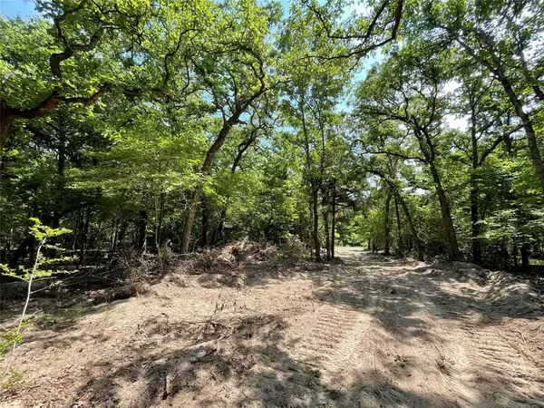 Fairfield, TX 75840,TBD Tract 13 Private Road 207