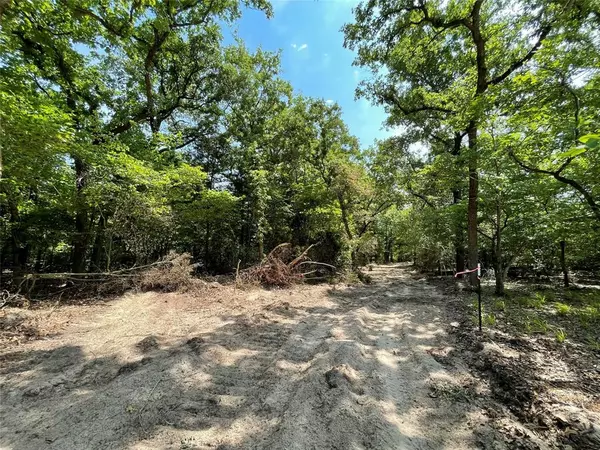 Fairfield, TX 75840,TBD Tract 13 Private Road 207