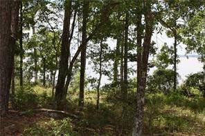 Sebastopol, TX 75862,16 Pine Forest Acres DR