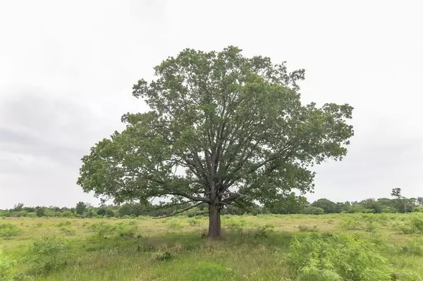 Waelder, TX 78959,02 Hunt LN