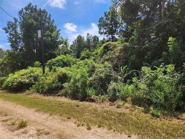 Lot 27 Mayhaw LN, Plantersville, TX 77363