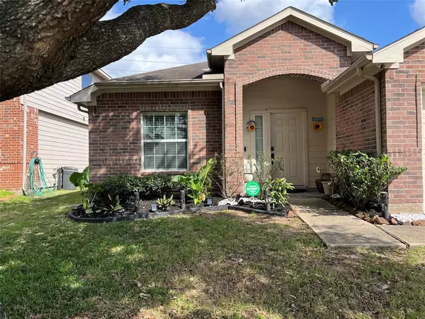 25214 Ibris Ranch DR, Katy, TX 77494