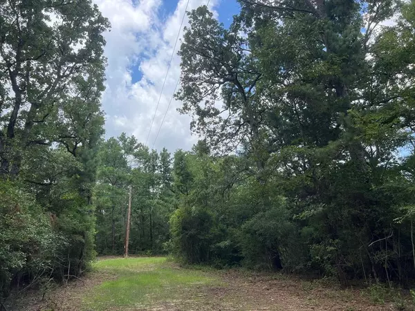 Oakwood, TX 75855,20 ac CR 293