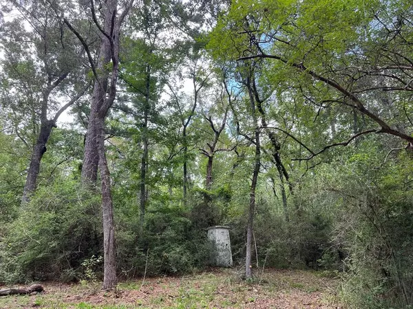 Oakwood, TX 75855,20 ac CR 293